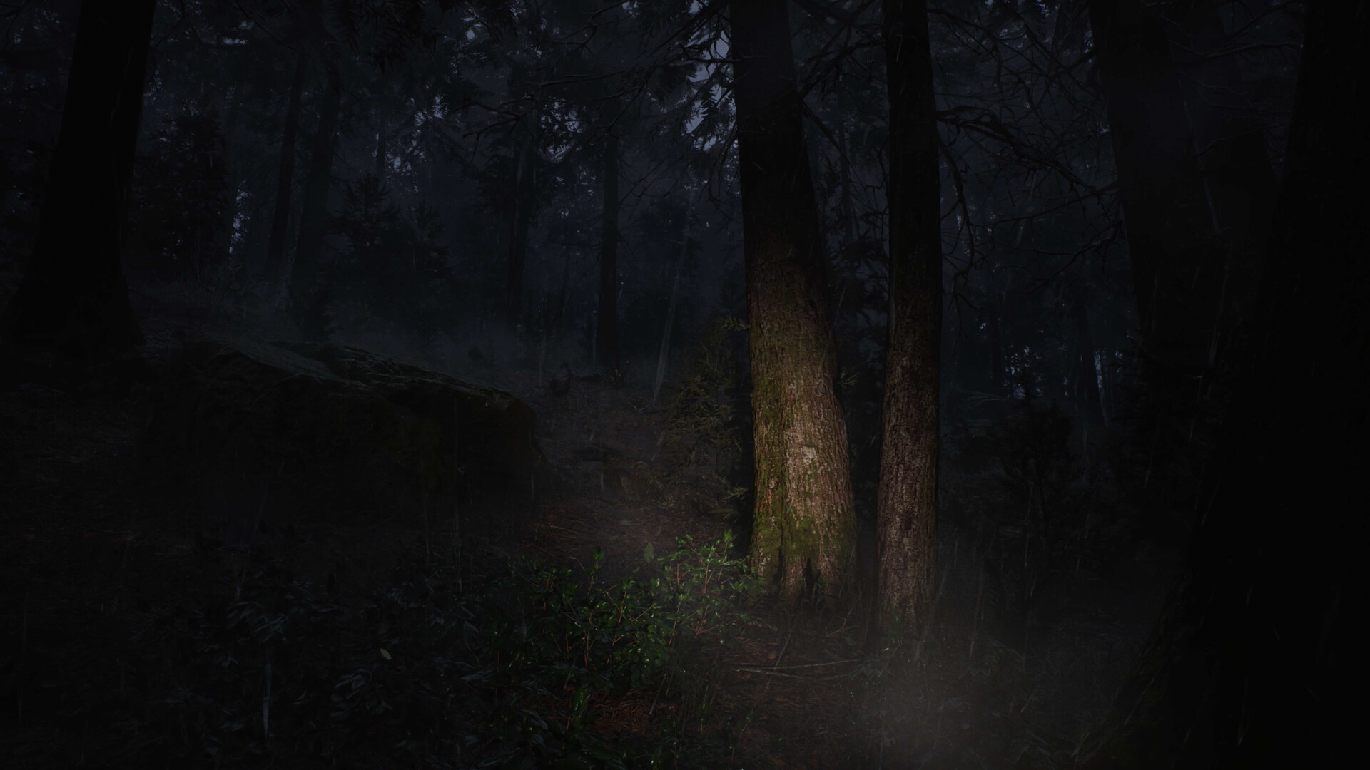 Whispers in the fog Screenshot 12