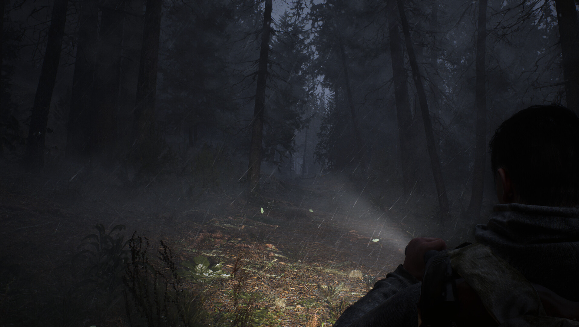 Whispers in the fog Screenshot 8