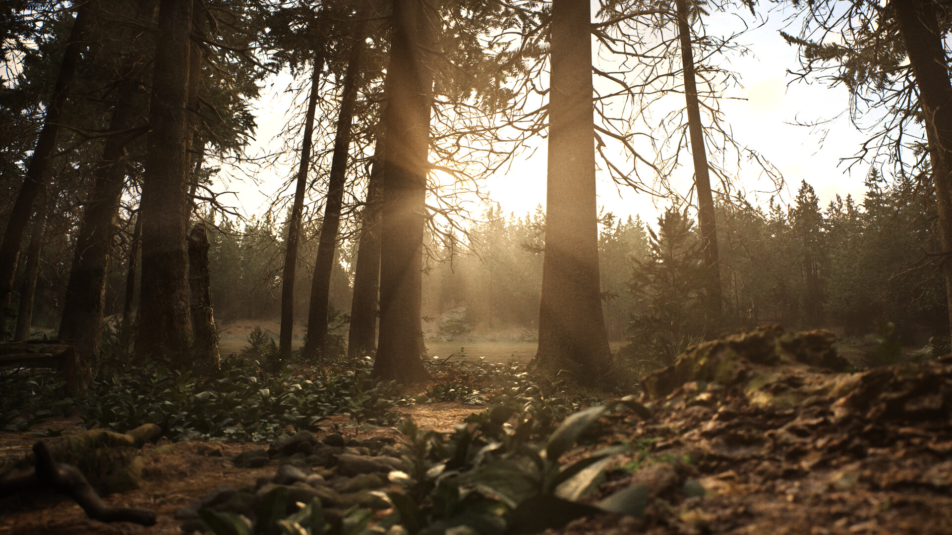 Whispers in the fog Screenshot 6