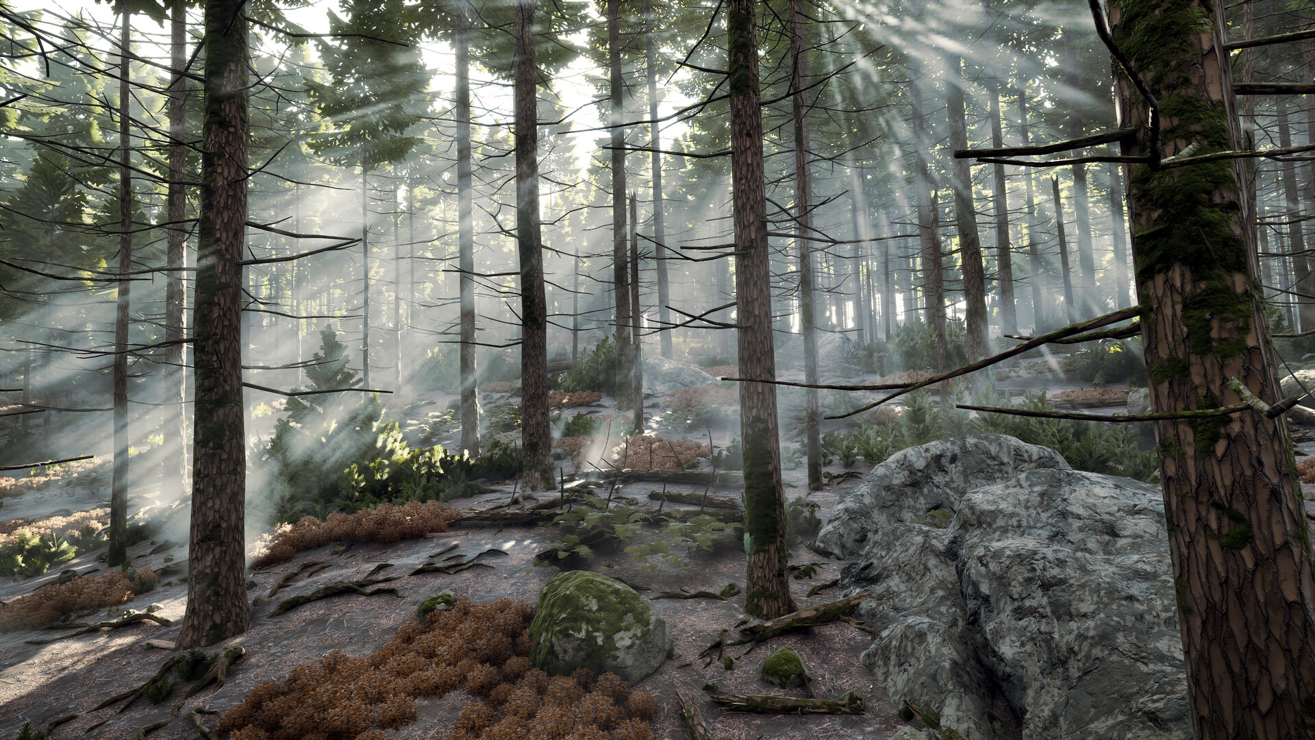 Prologue: Go Wayback! Screenshot 5