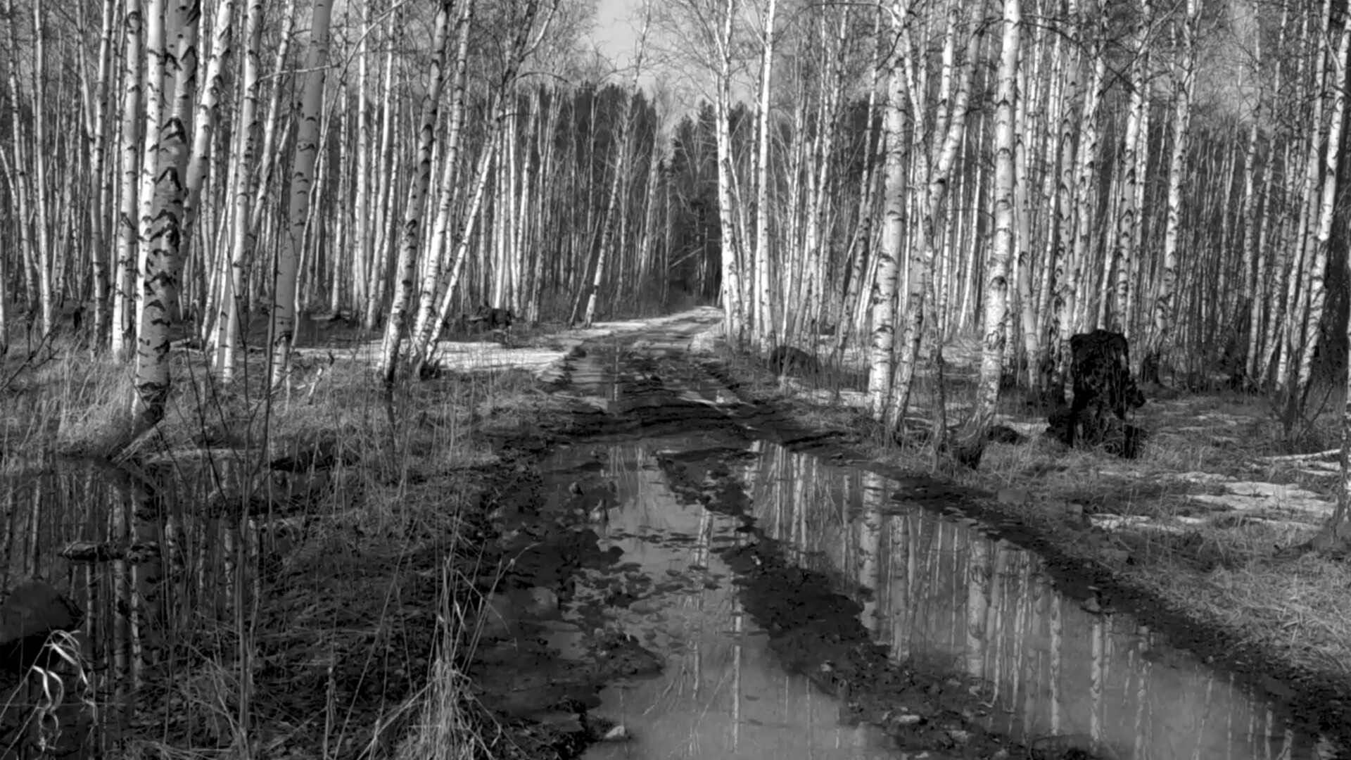 Russian Psychiatric Pastoral: Prologue Screenshot 3