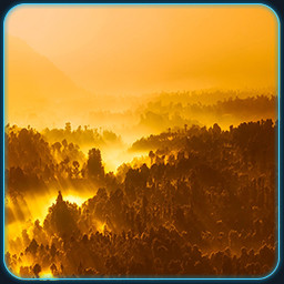 Accept the offer icon