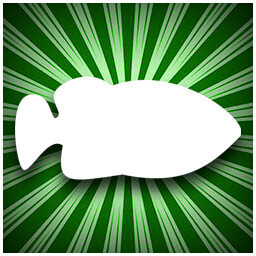 Common Collection icon