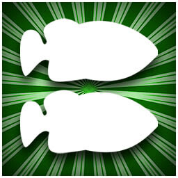 Frequent Fisher icon