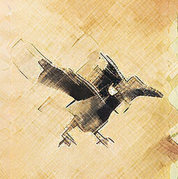 Disturbing the bird icon