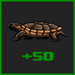 I love turtles icon