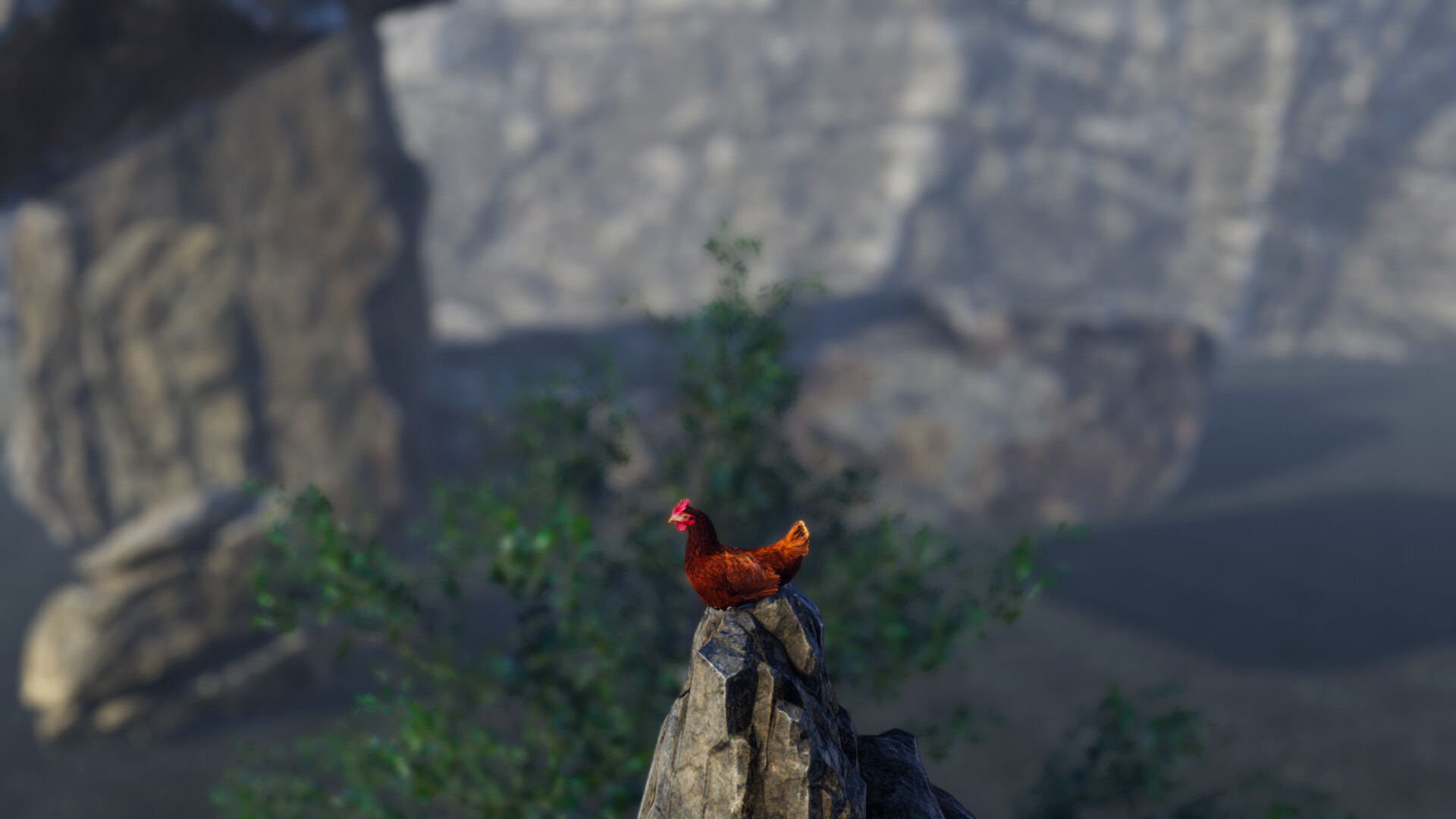 Unlucky Chicken Screenshot 5
