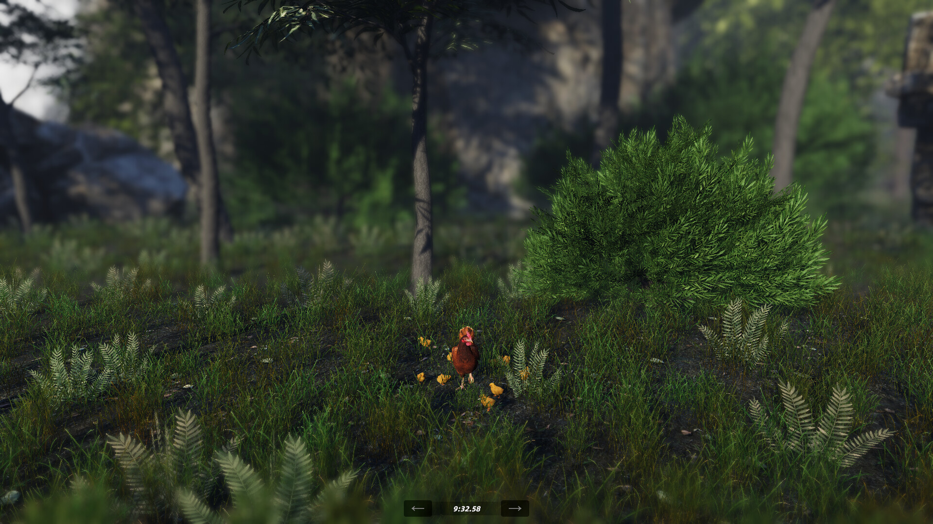 Unlucky Chicken Screenshot 4