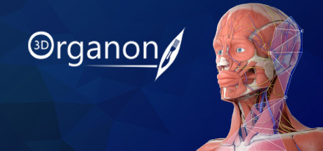 3D Organon