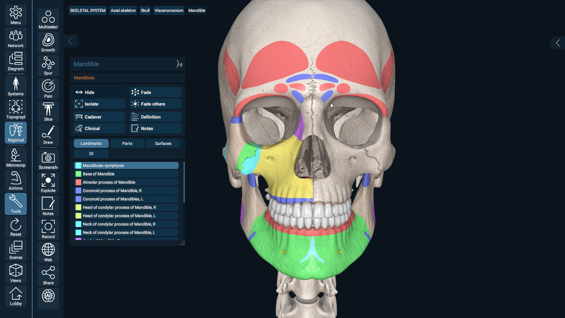 3D Organon Screenshot 11