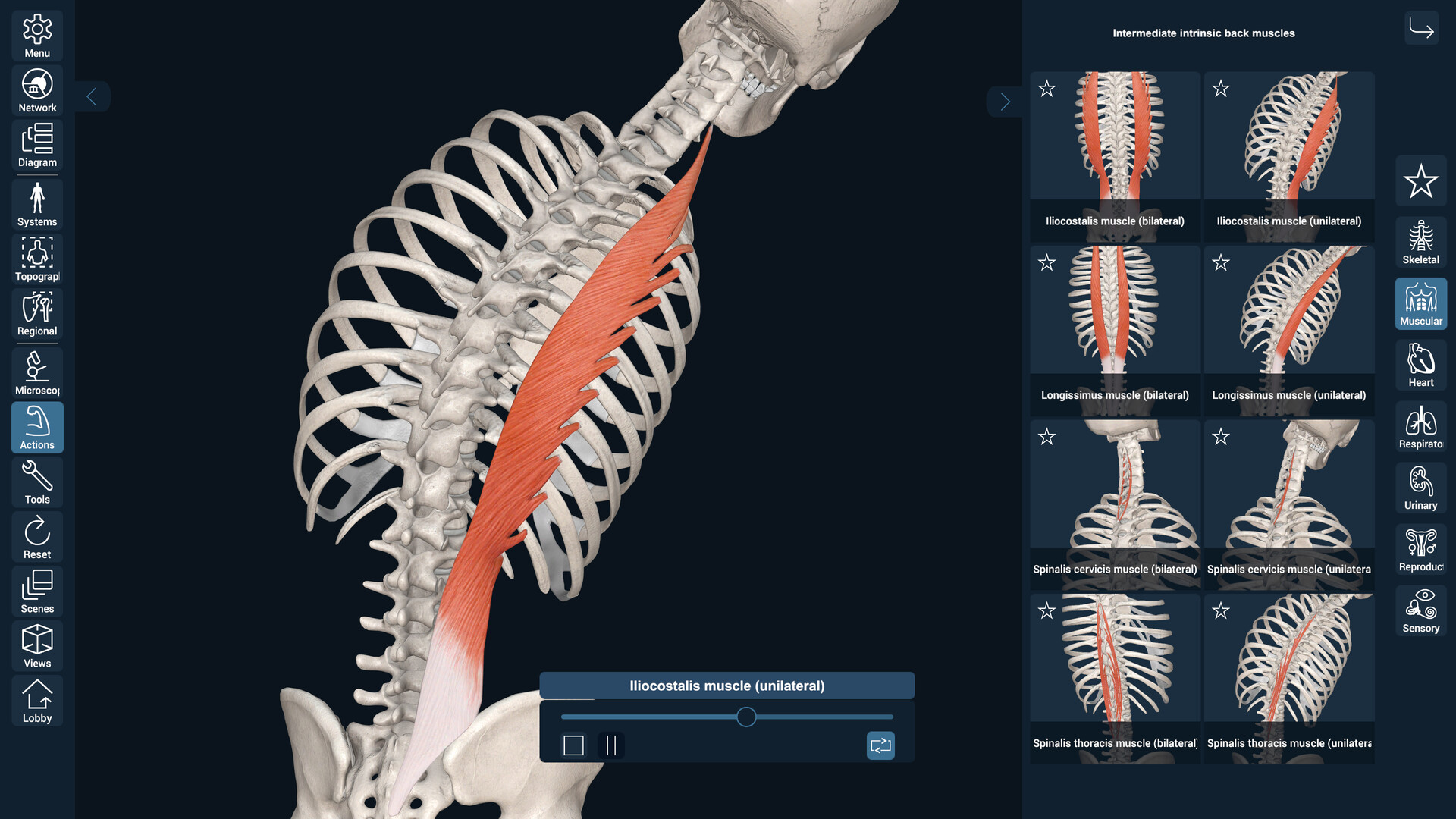 3D Organon Screenshot 7