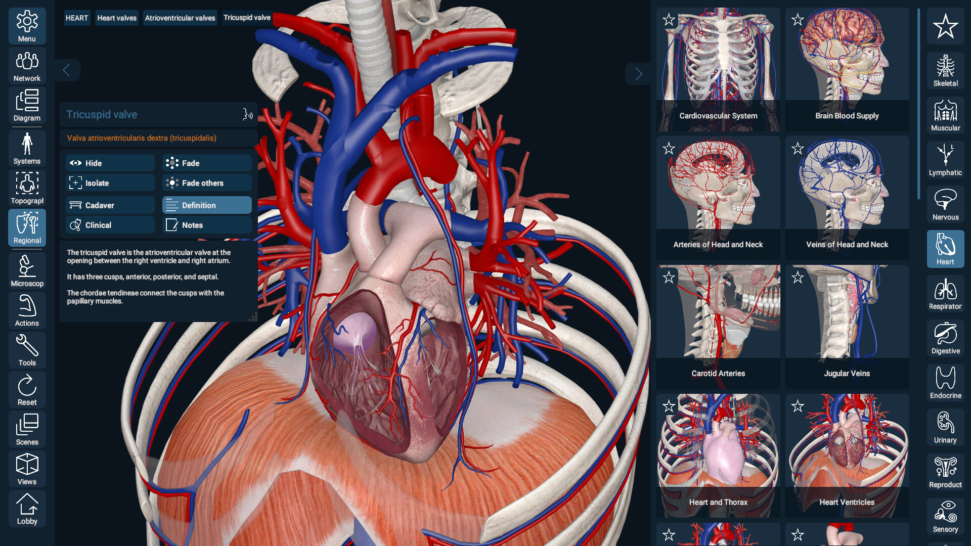 3D Organon Screenshot 0