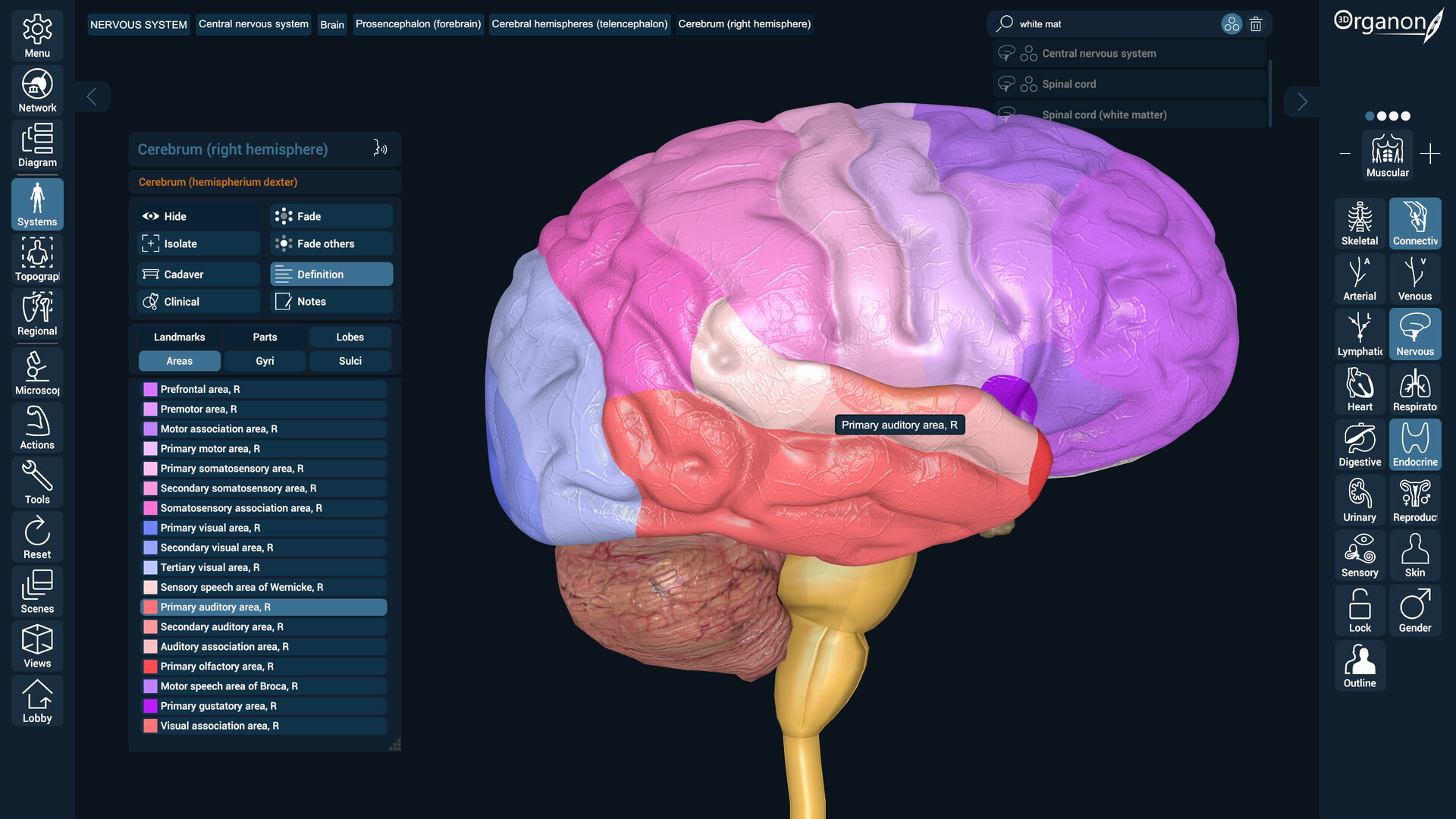 3D Organon Screenshot 6