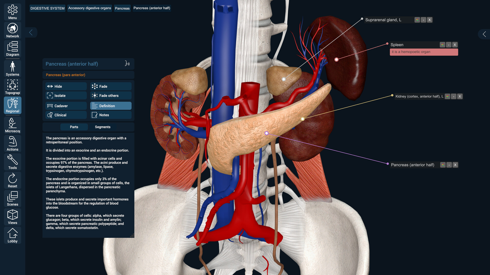 3D Organon Screenshot 10