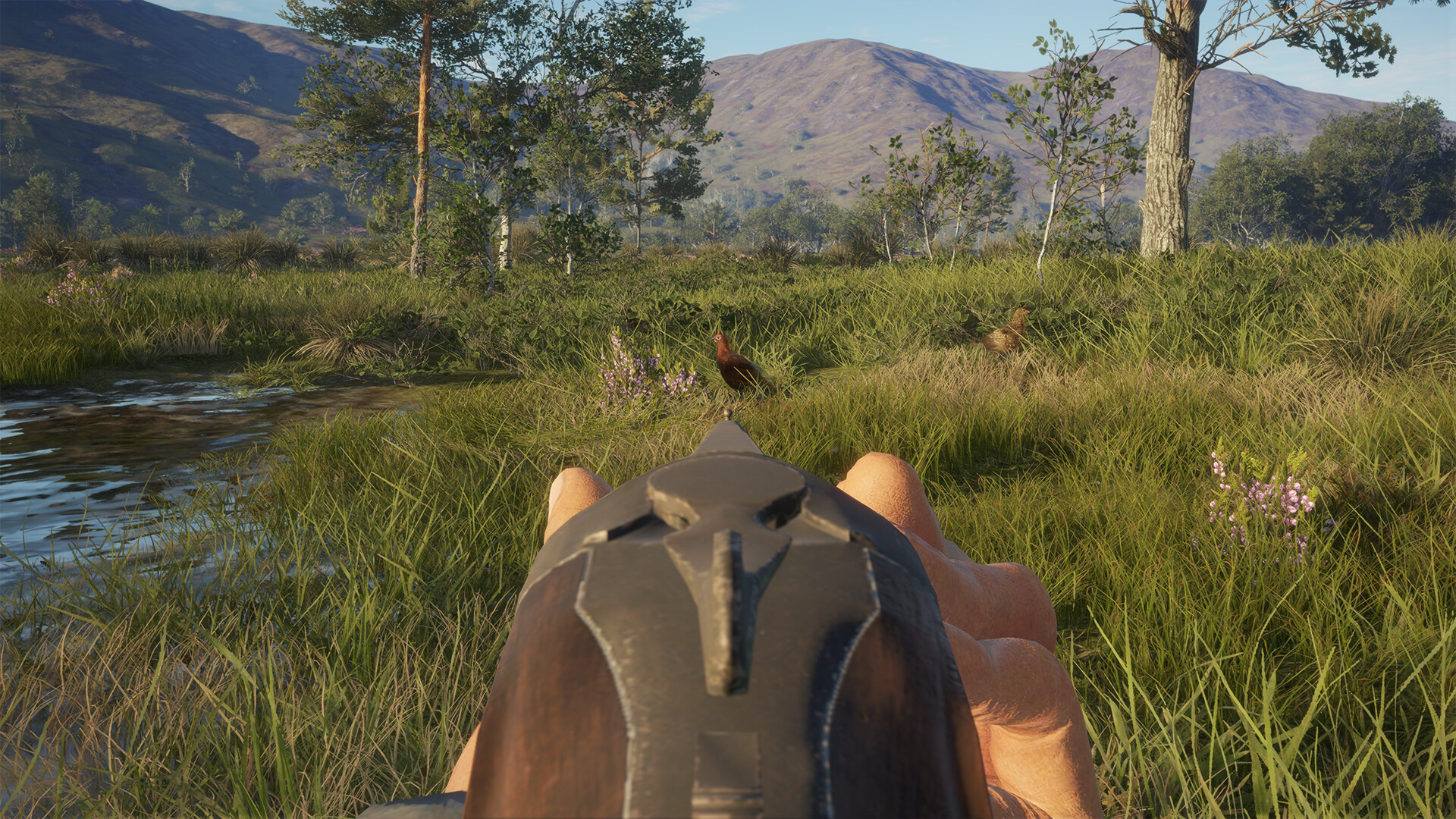 theHunter: Call of the Wild™ - Scotland Hunting Reserve Screenshot 17