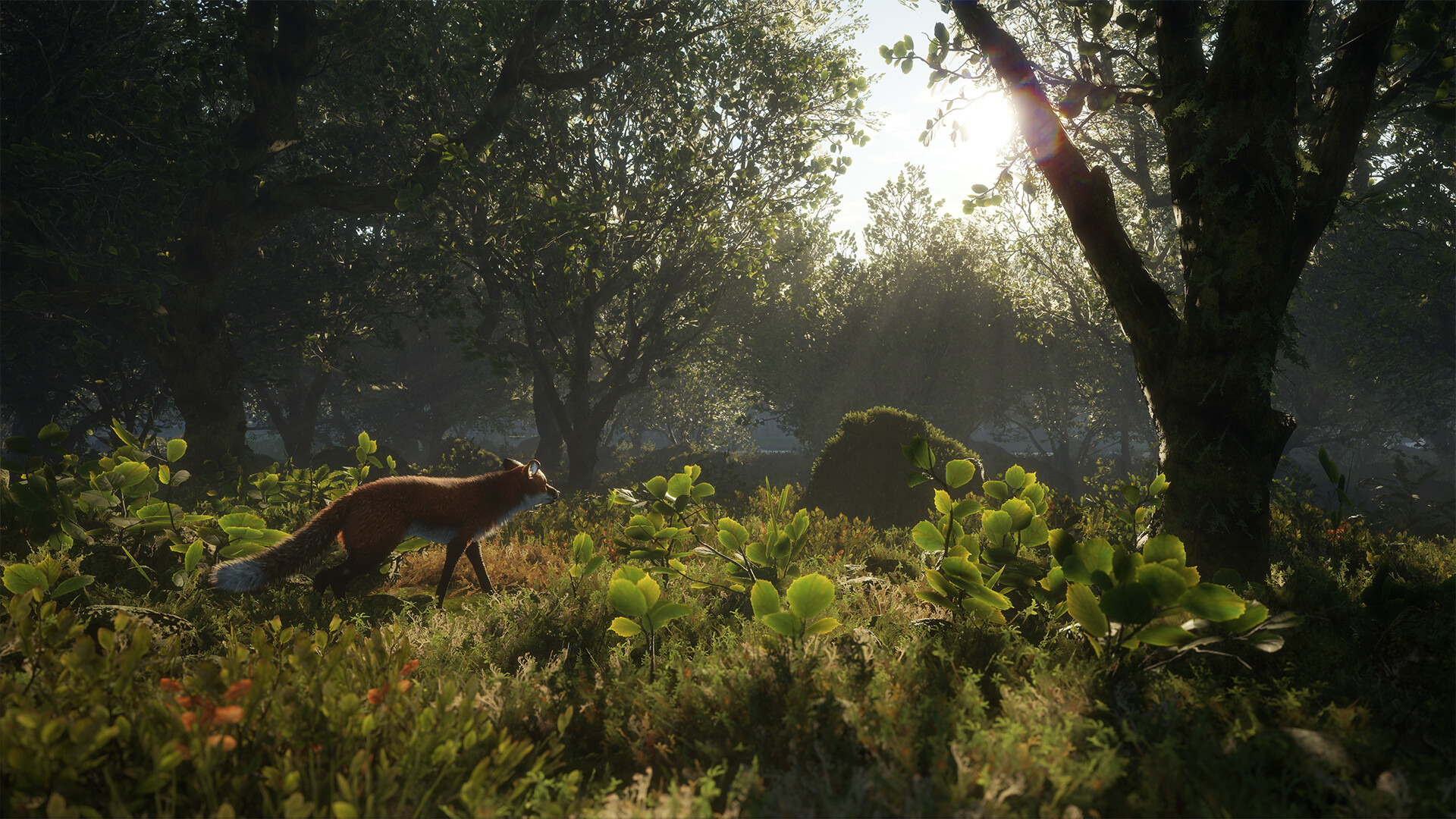 theHunter: Call of the Wild™ - Scotland Hunting Reserve Screenshot 7