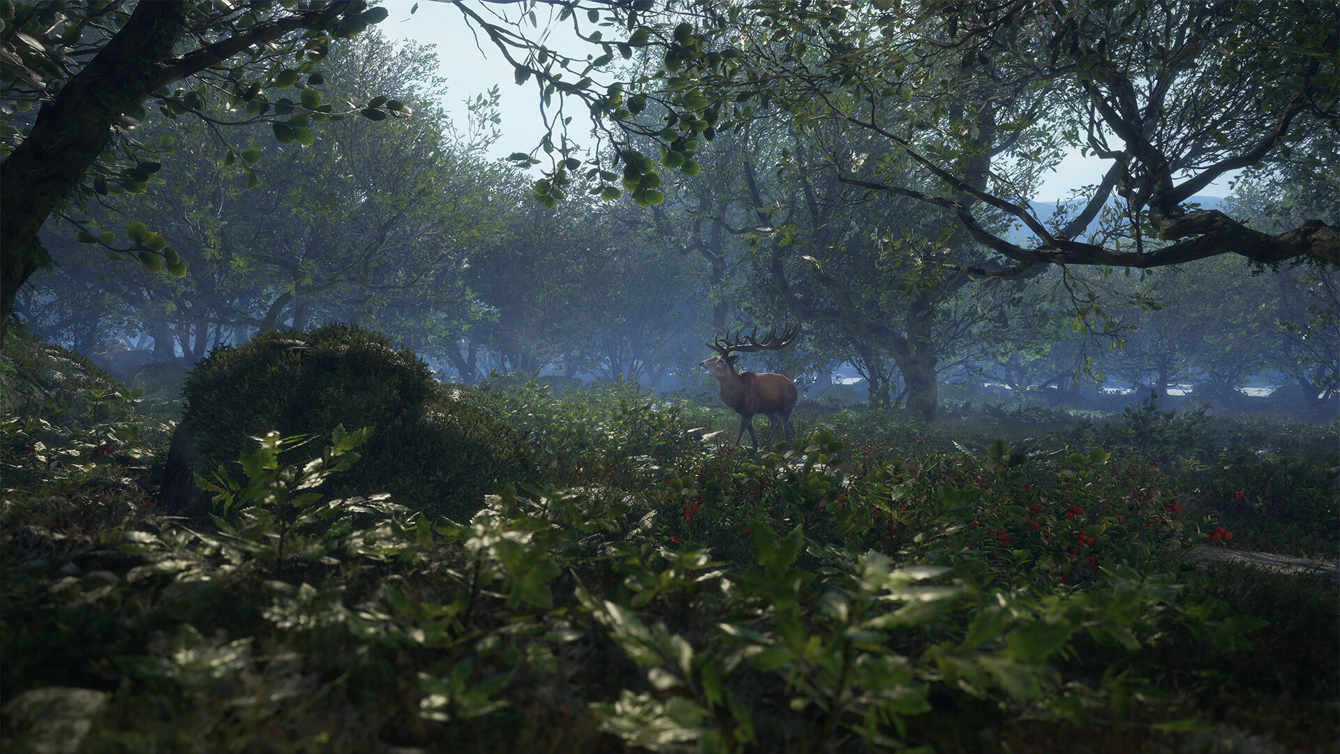 theHunter: Call of the Wild™ - Scotland Hunting Reserve Screenshot 2