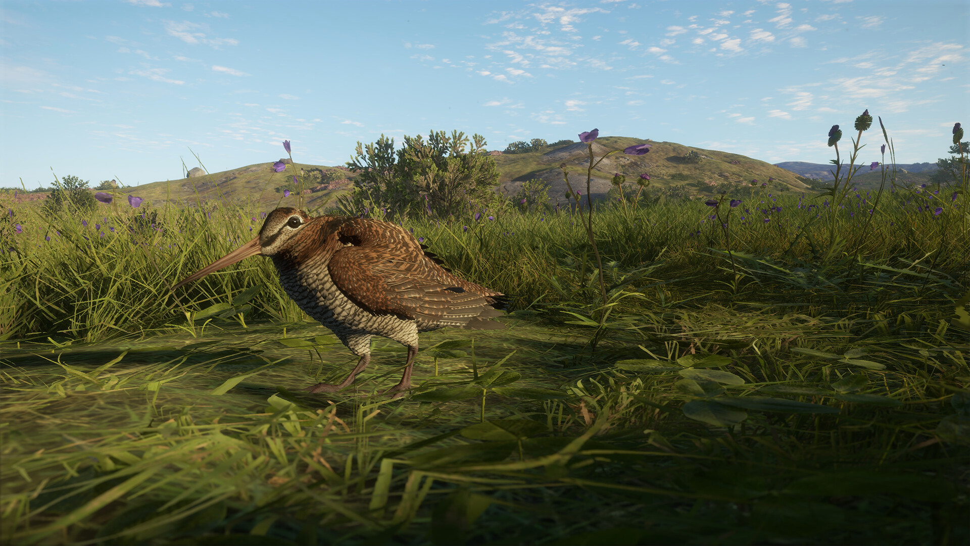 theHunter: Call of the Wild™ - Scotland Hunting Reserve Screenshot 5