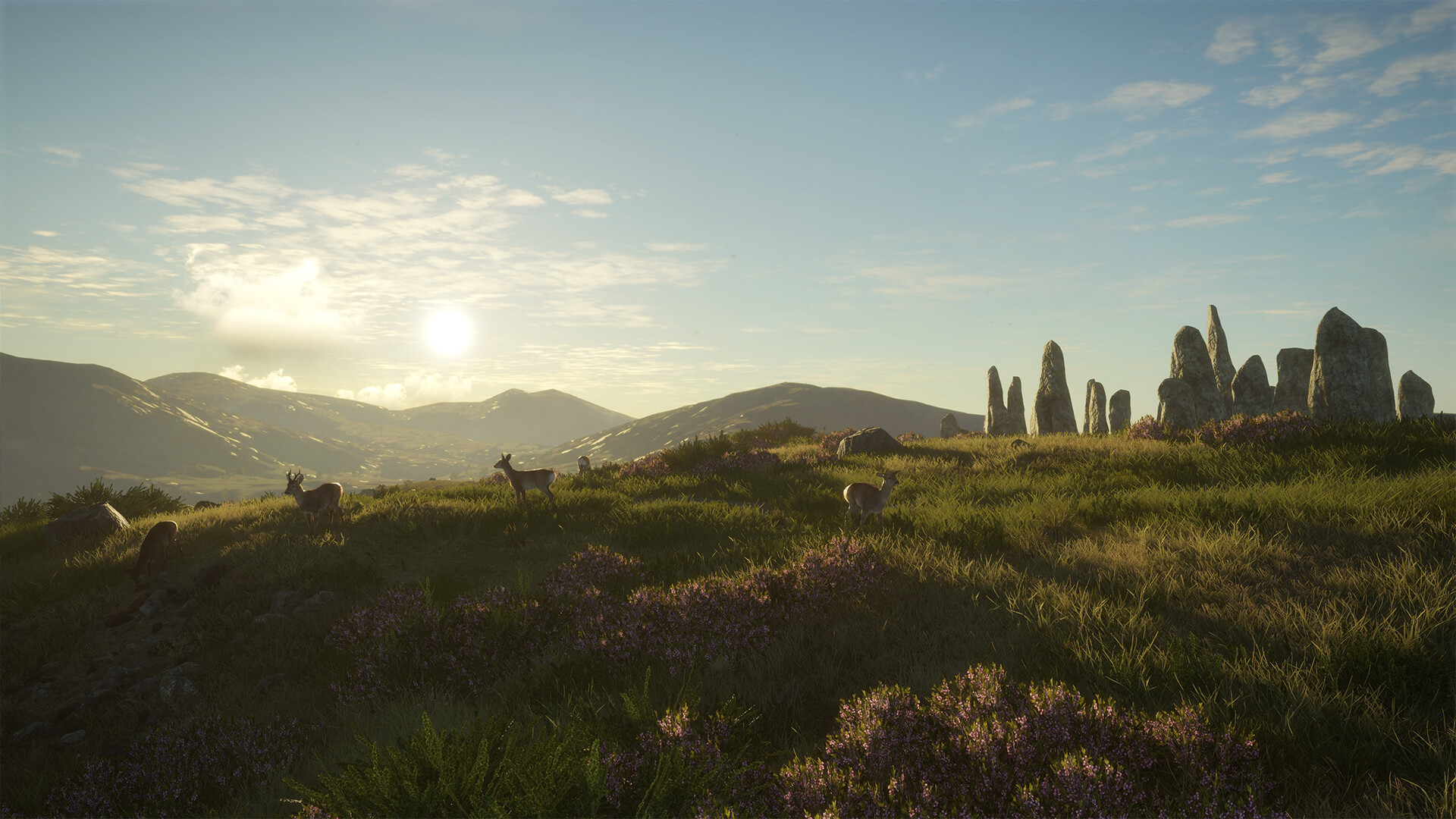 theHunter: Call of the Wild™ - Scotland Hunting Reserve Screenshot 9