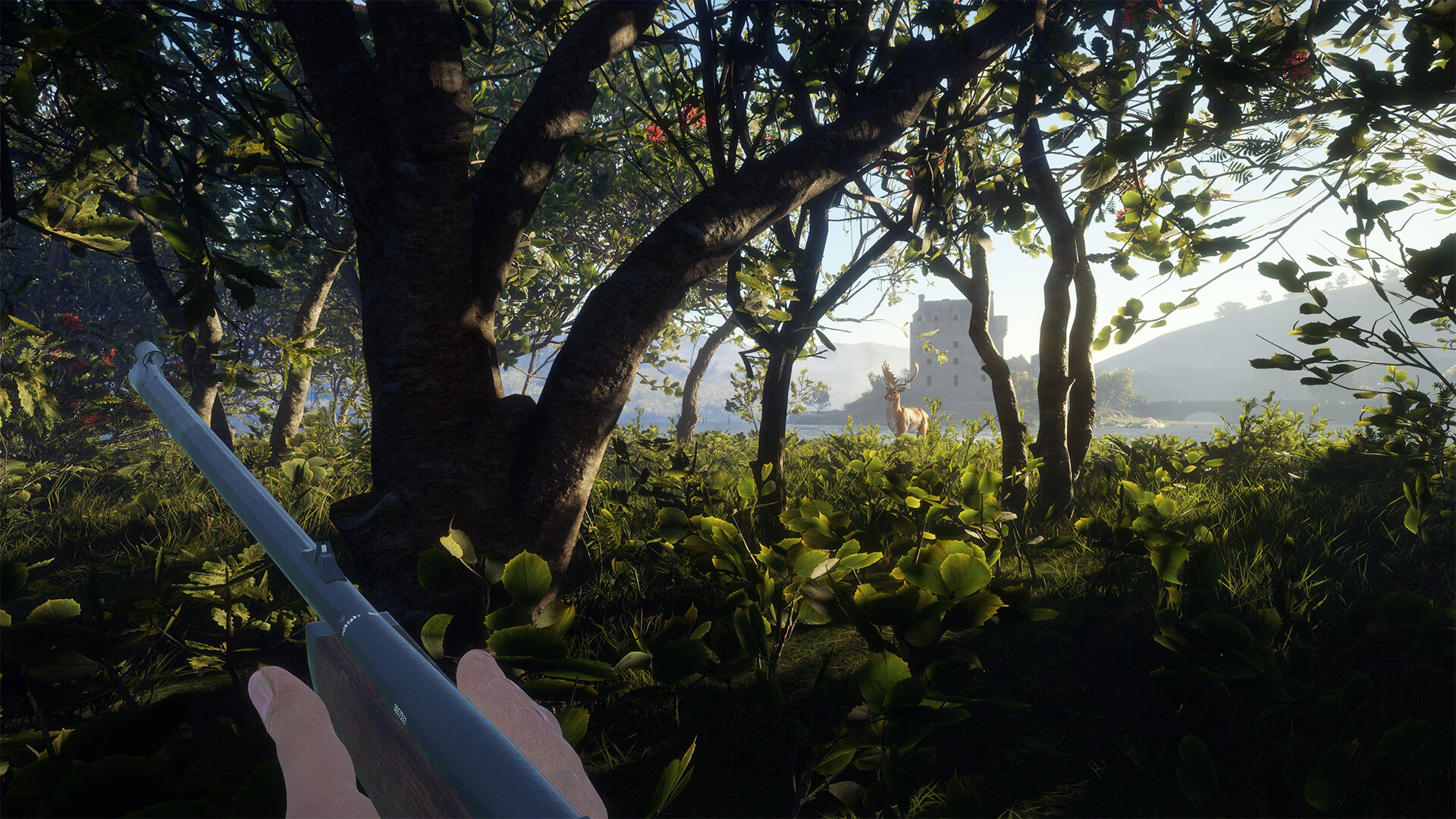 theHunter: Call of the Wild™ - Scotland Hunting Reserve Screenshot 13