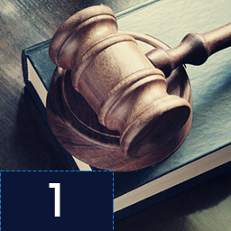 First Law Passed icon