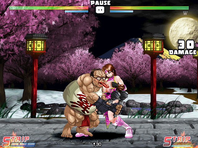 Strip Fighter 5: Chimpocon Edition Screenshot 5