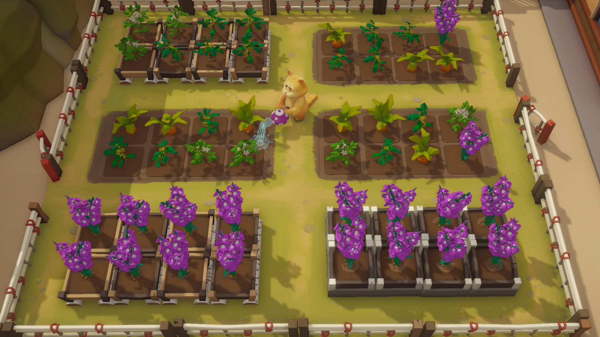 Pao Pao Screenshot 2