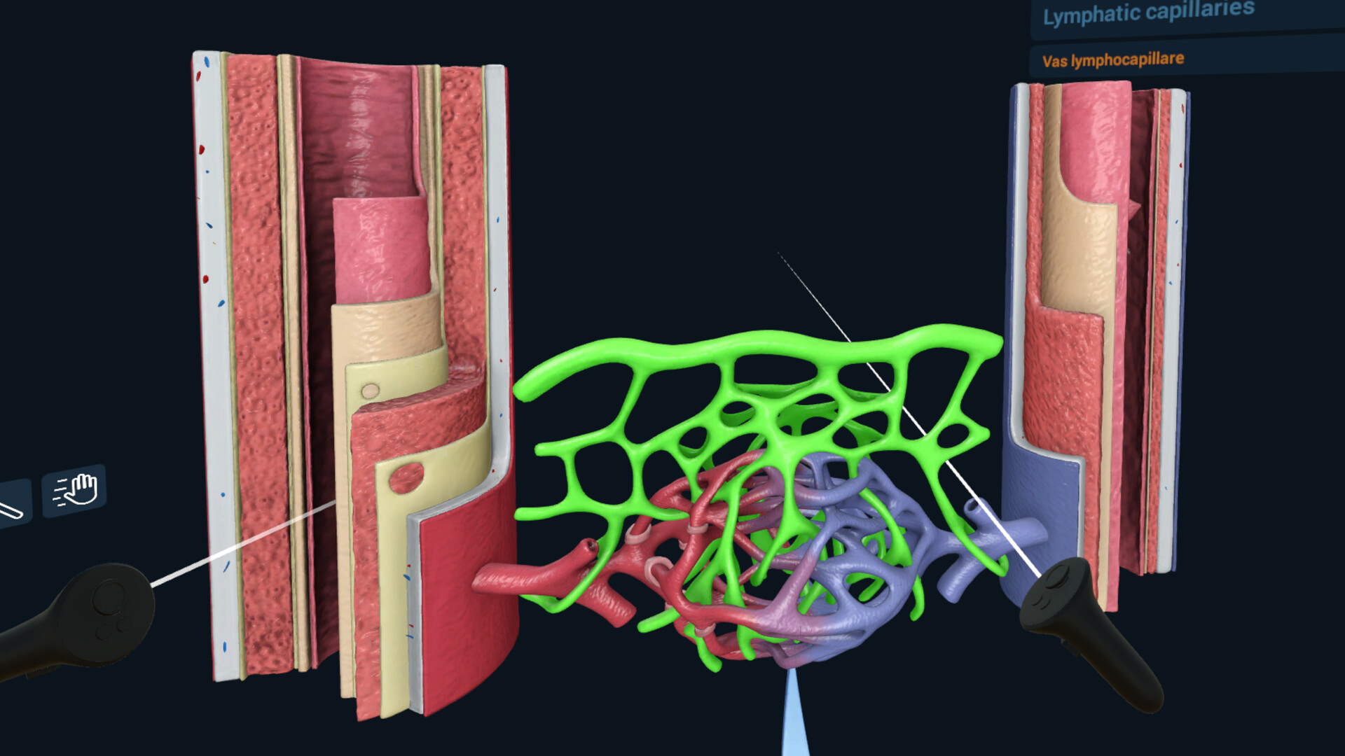 3D Organon XR Screenshot 6