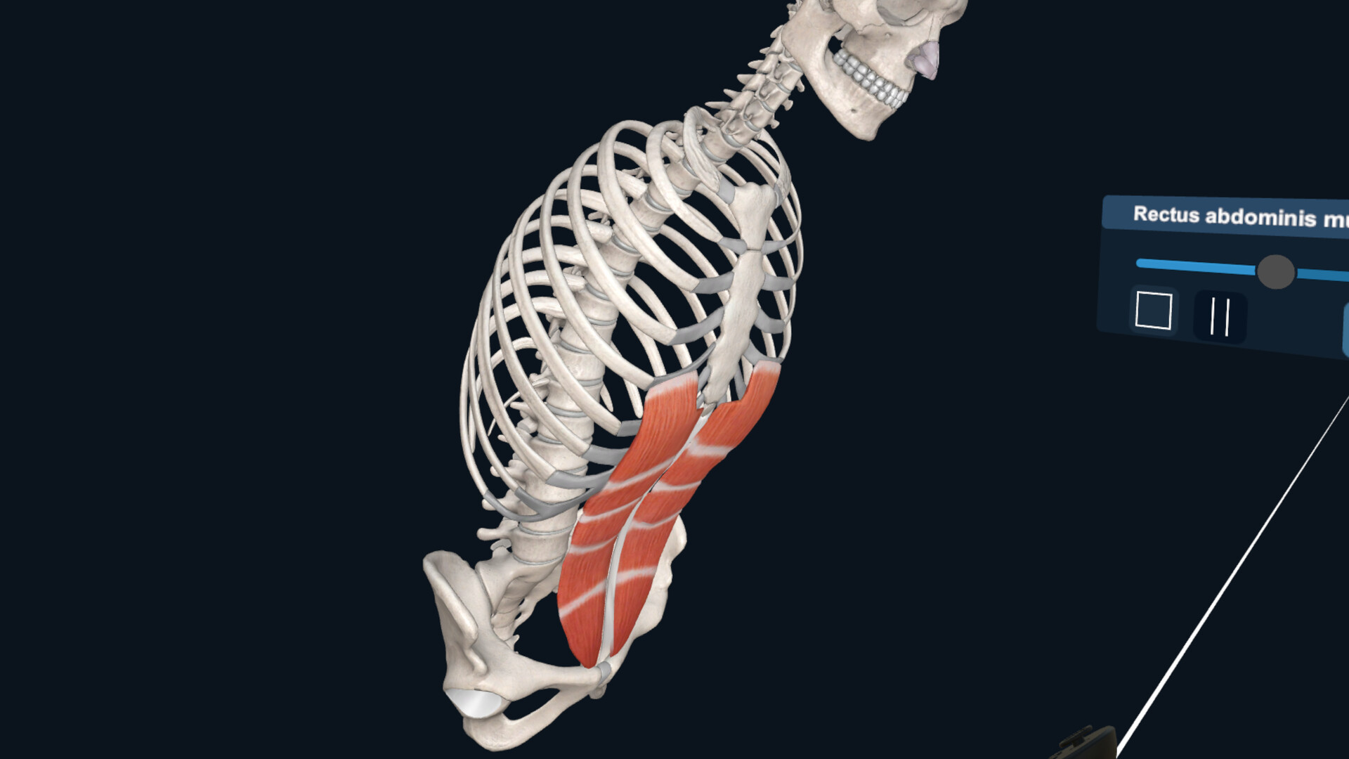 3D Organon XR Screenshot 9