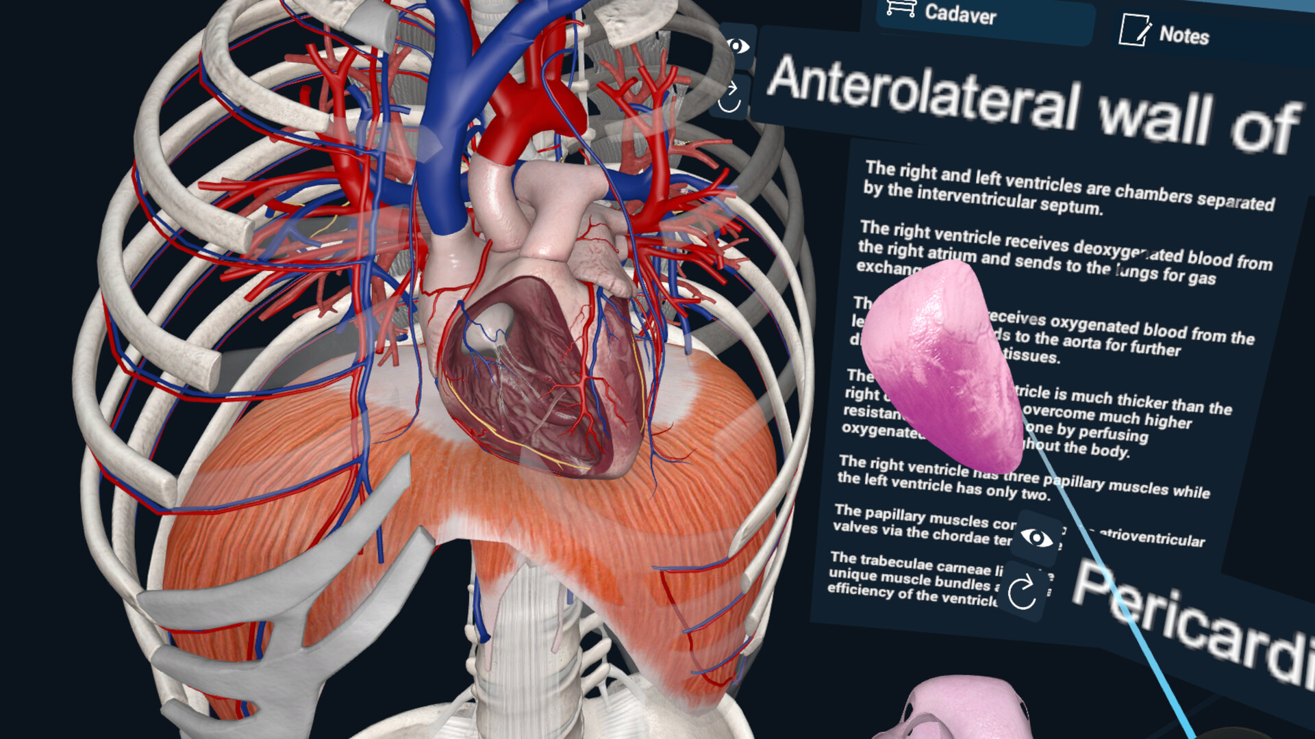 3D Organon XR Screenshot 0