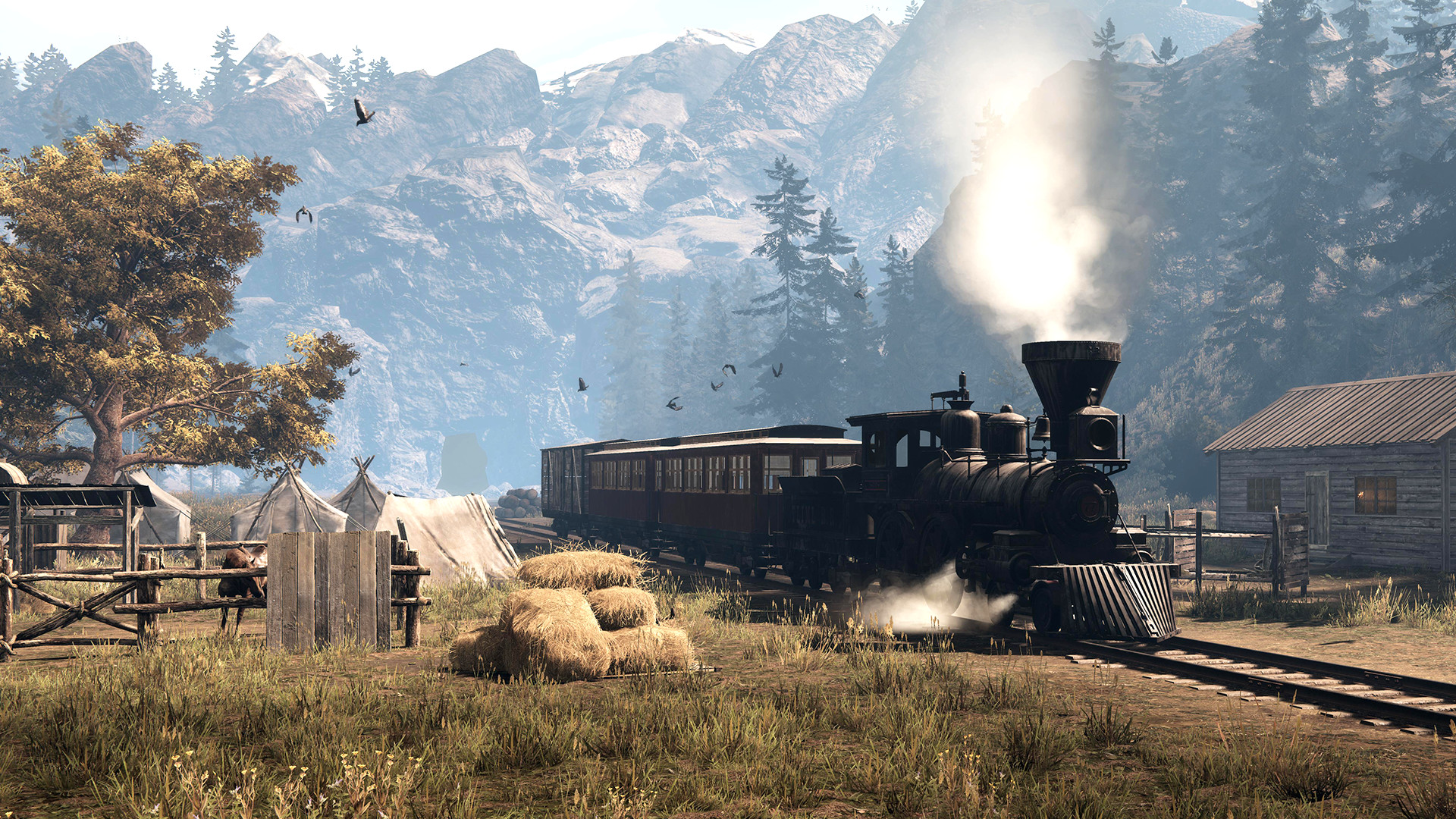 This Land Is My Land Screenshot 3