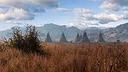 This Land Is My Land Screenshot 0