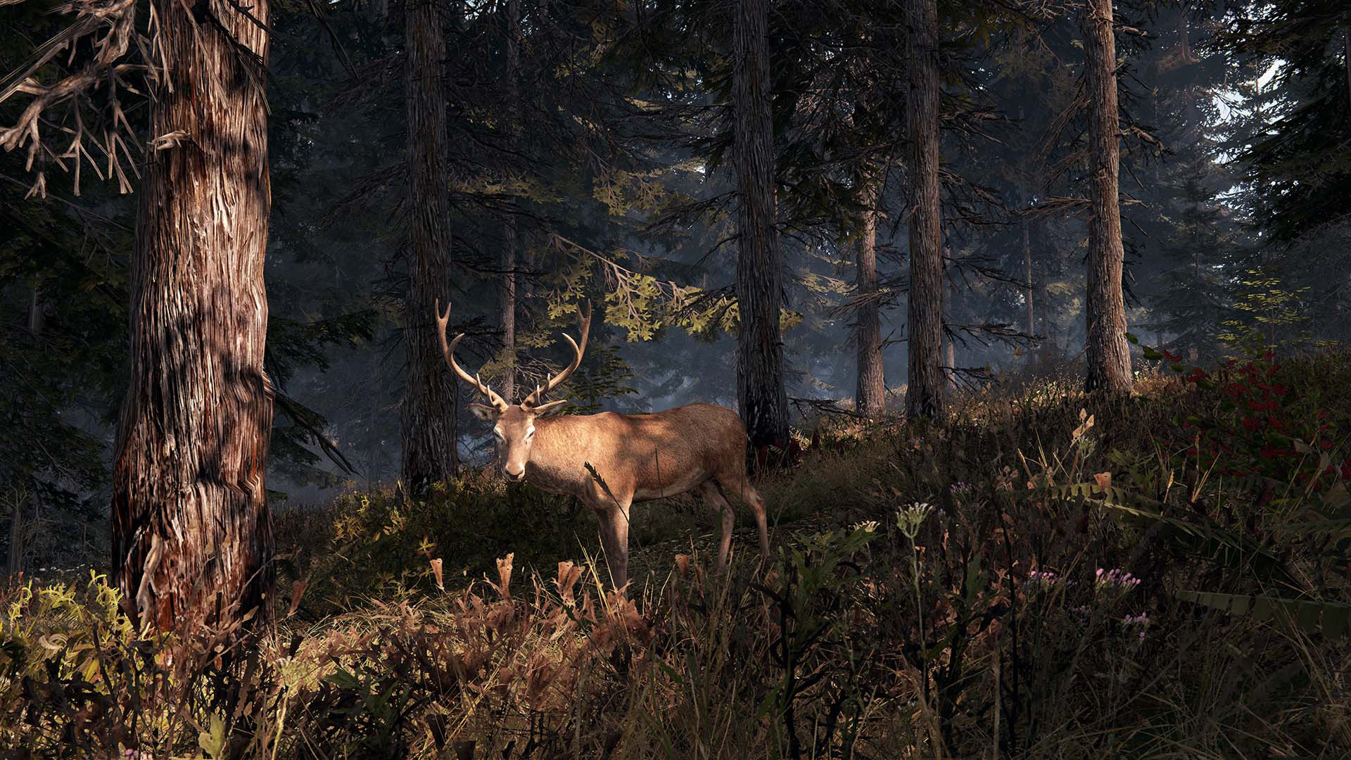 This Land Is My Land Screenshot 7