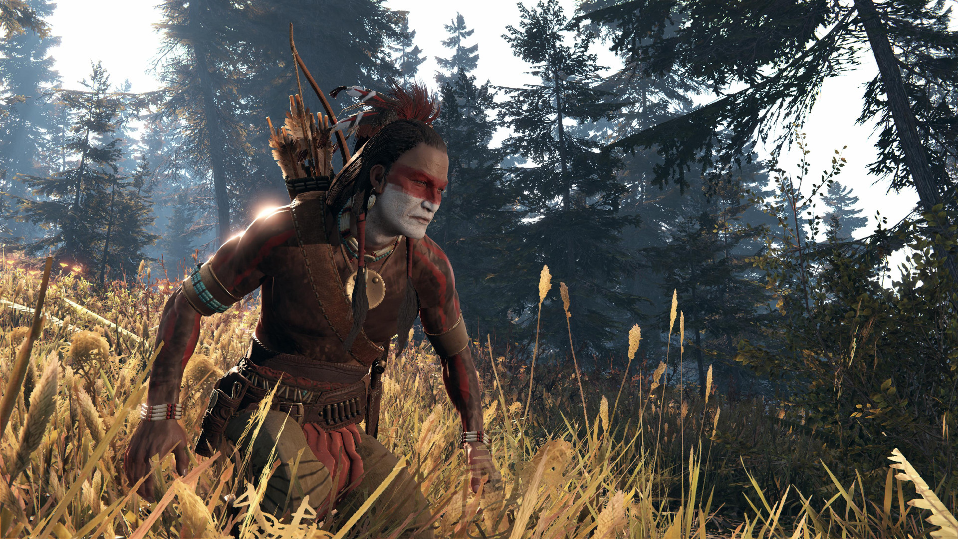 This Land Is My Land Screenshot 17