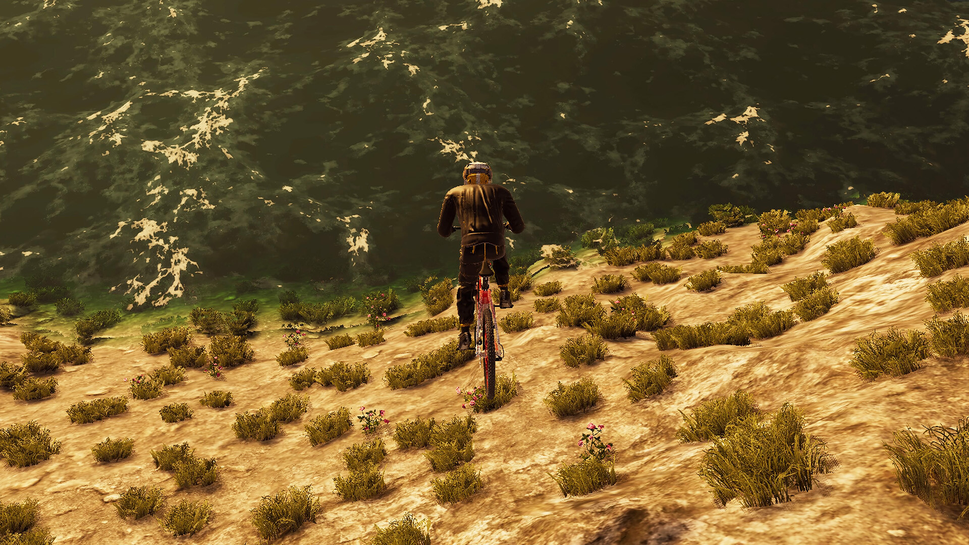 BMX Wild Run Screenshot 5