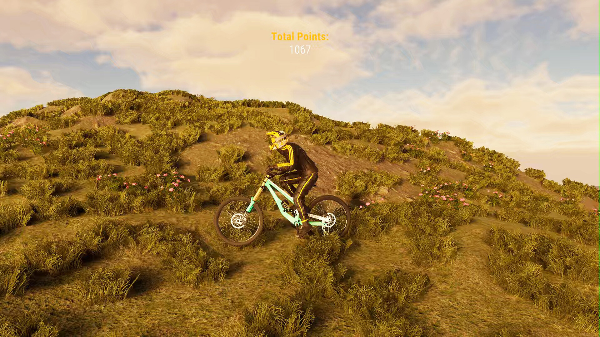BMX Wild Run Screenshot 9
