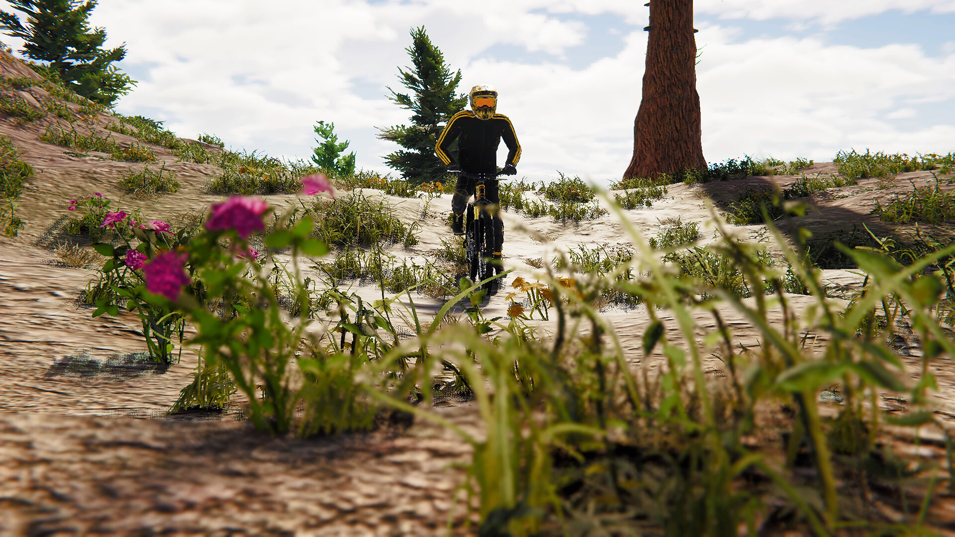 BMX Wild Run Screenshot 1