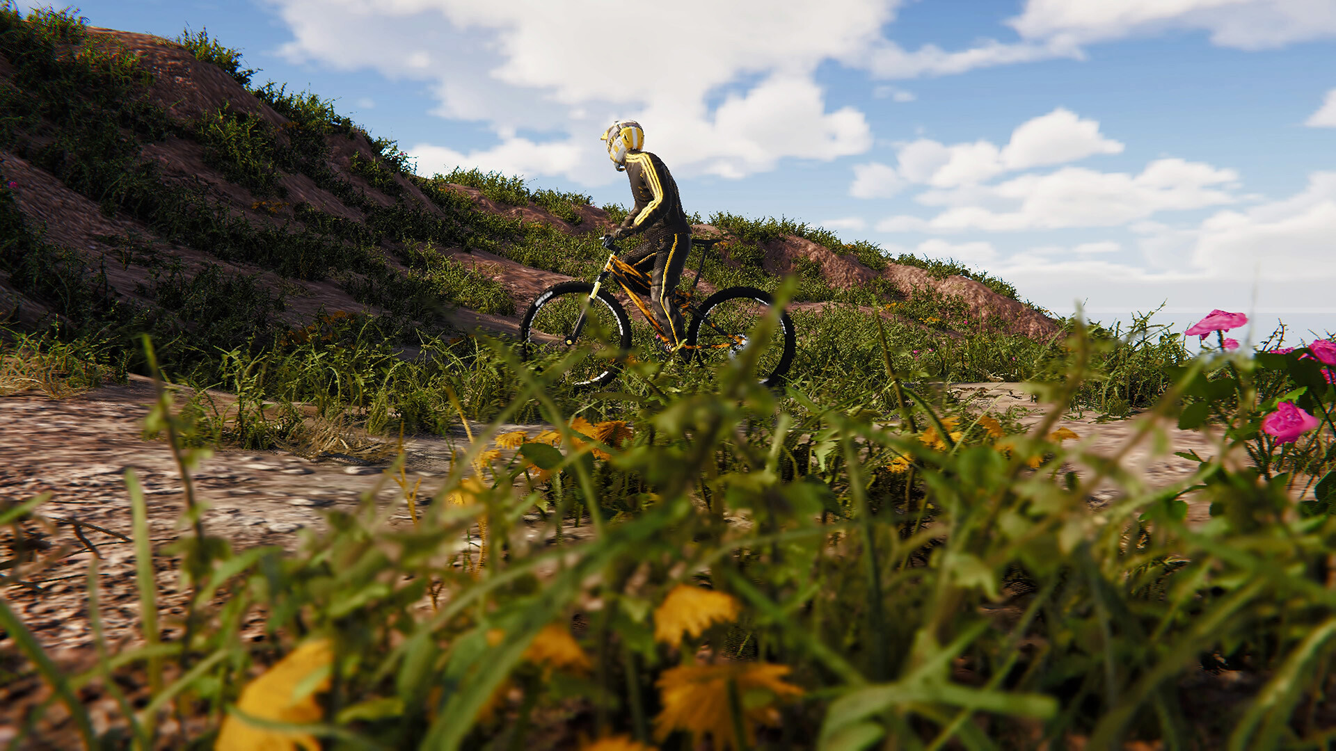 BMX Wild Run Screenshot 7