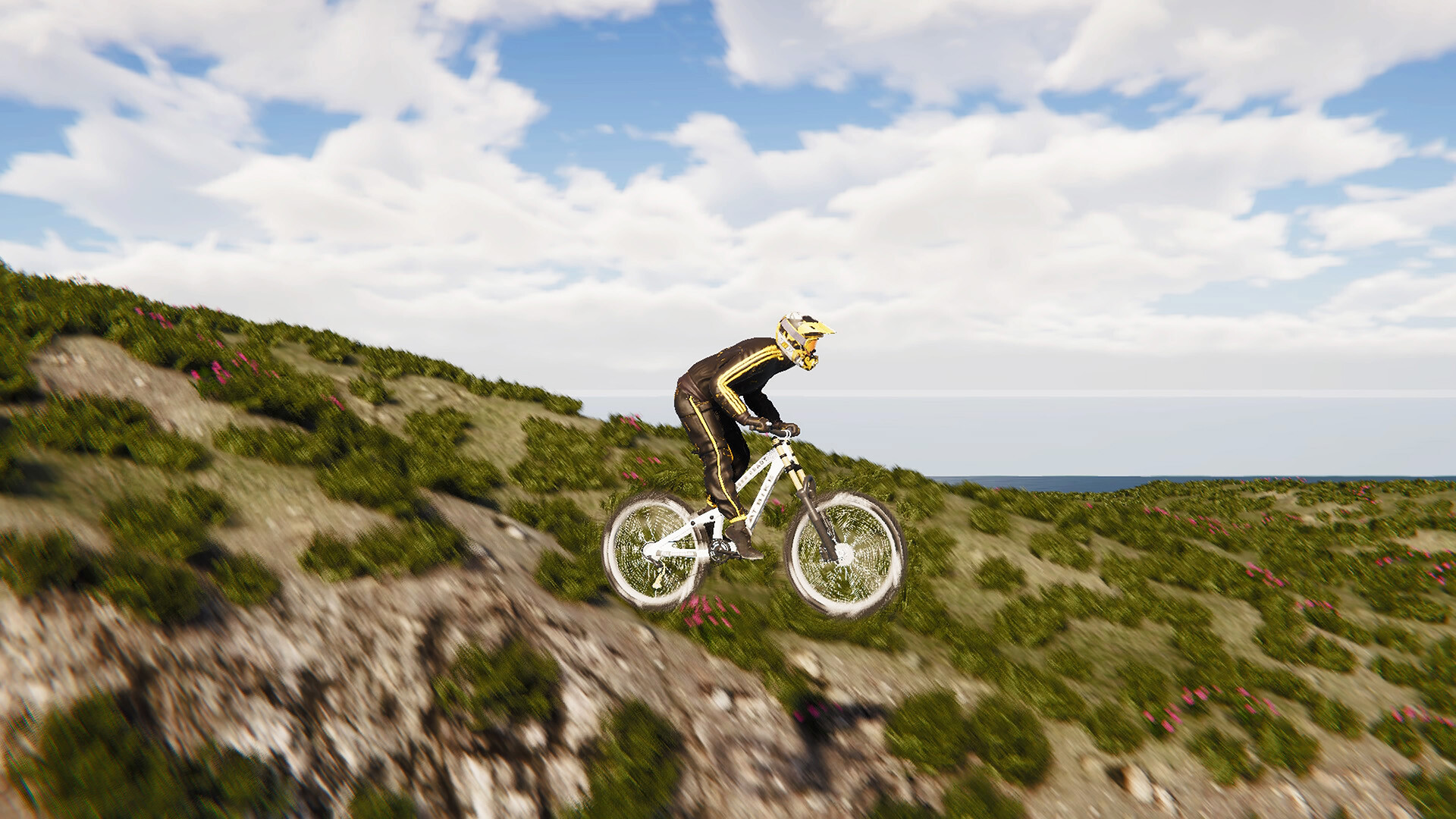 BMX Wild Run Screenshot 0