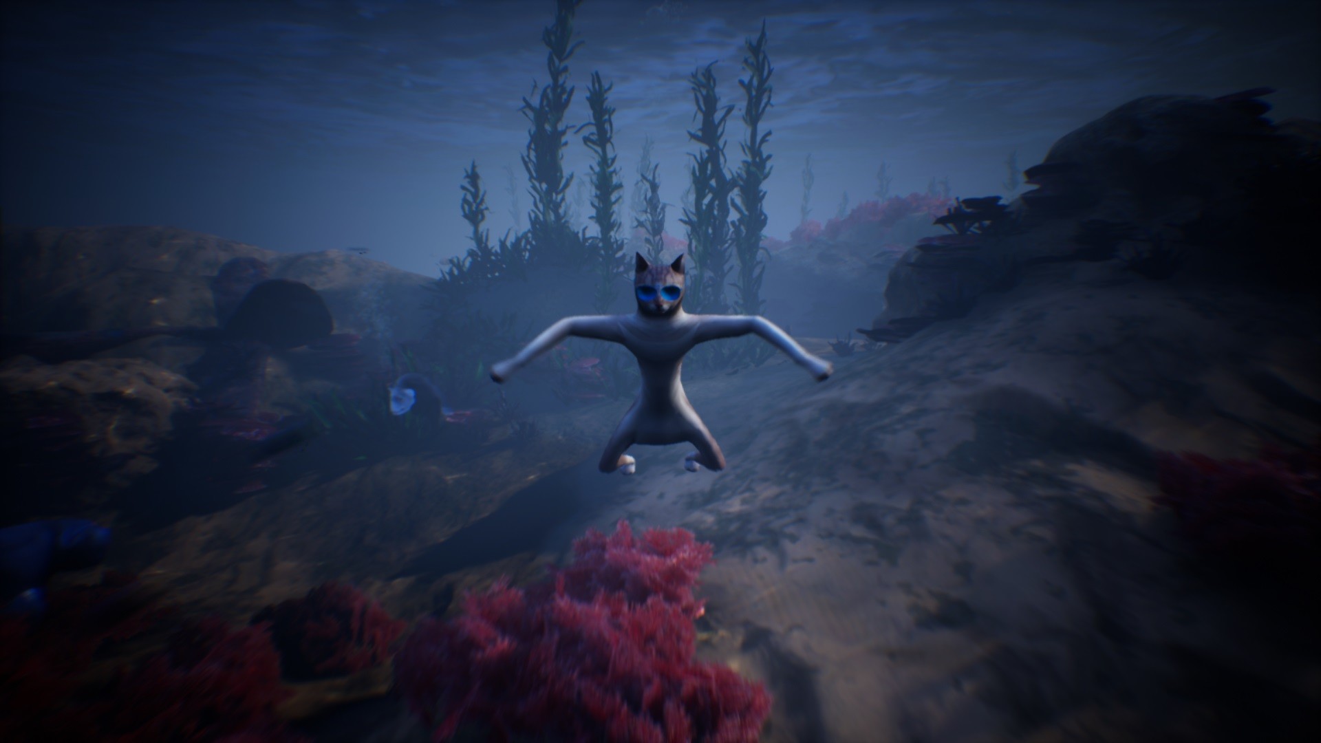 SIMBA THE CAT Screenshot 1