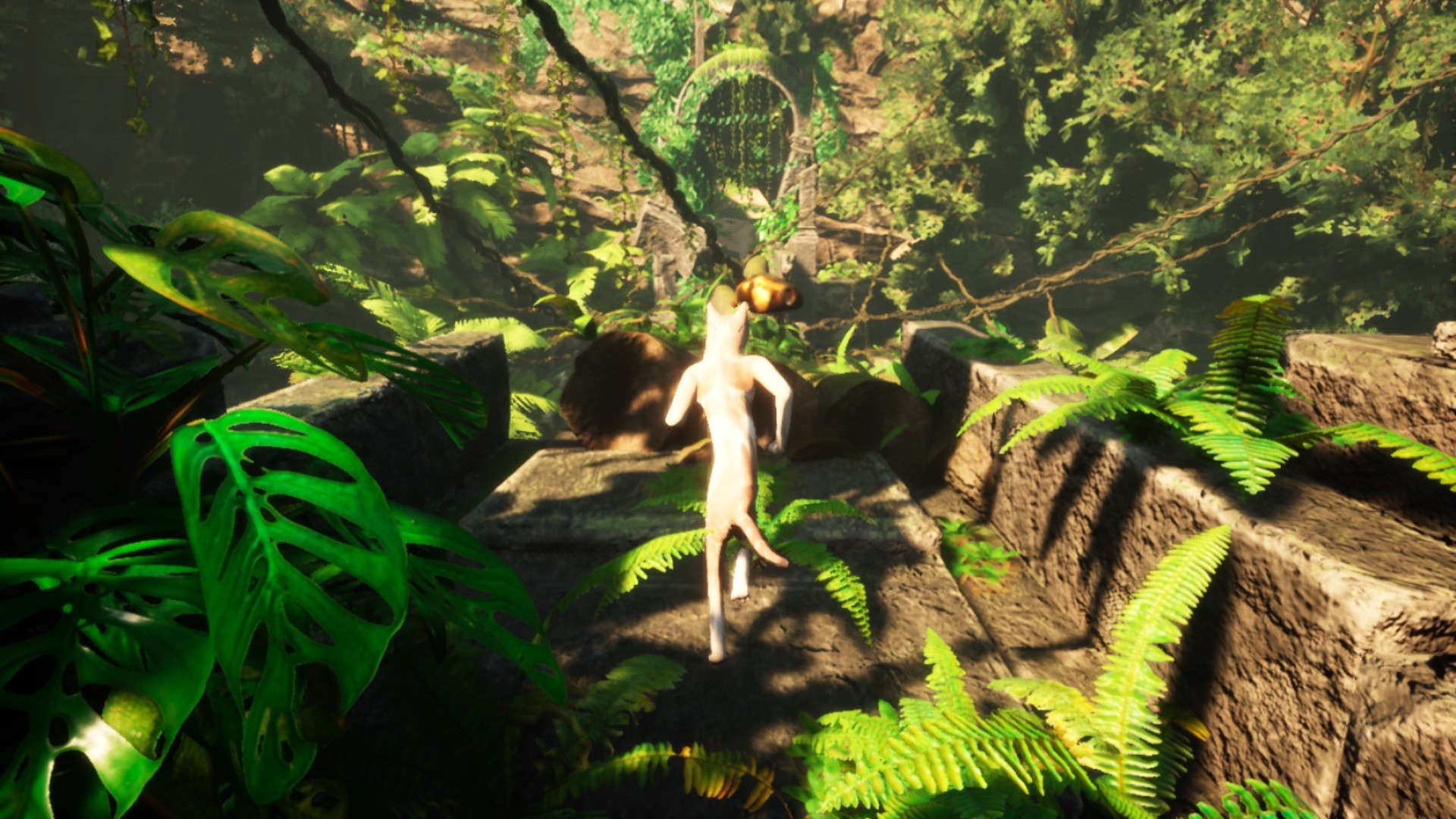 SIMBA THE CAT Screenshot 4