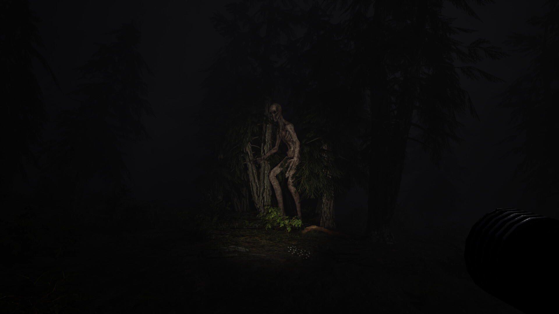 Echoes of Sin: Confusion Screenshot 6