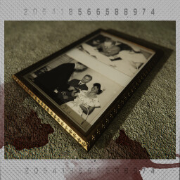 Elizabeth's memoirs icon