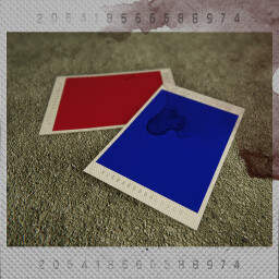 Professional photographer icon