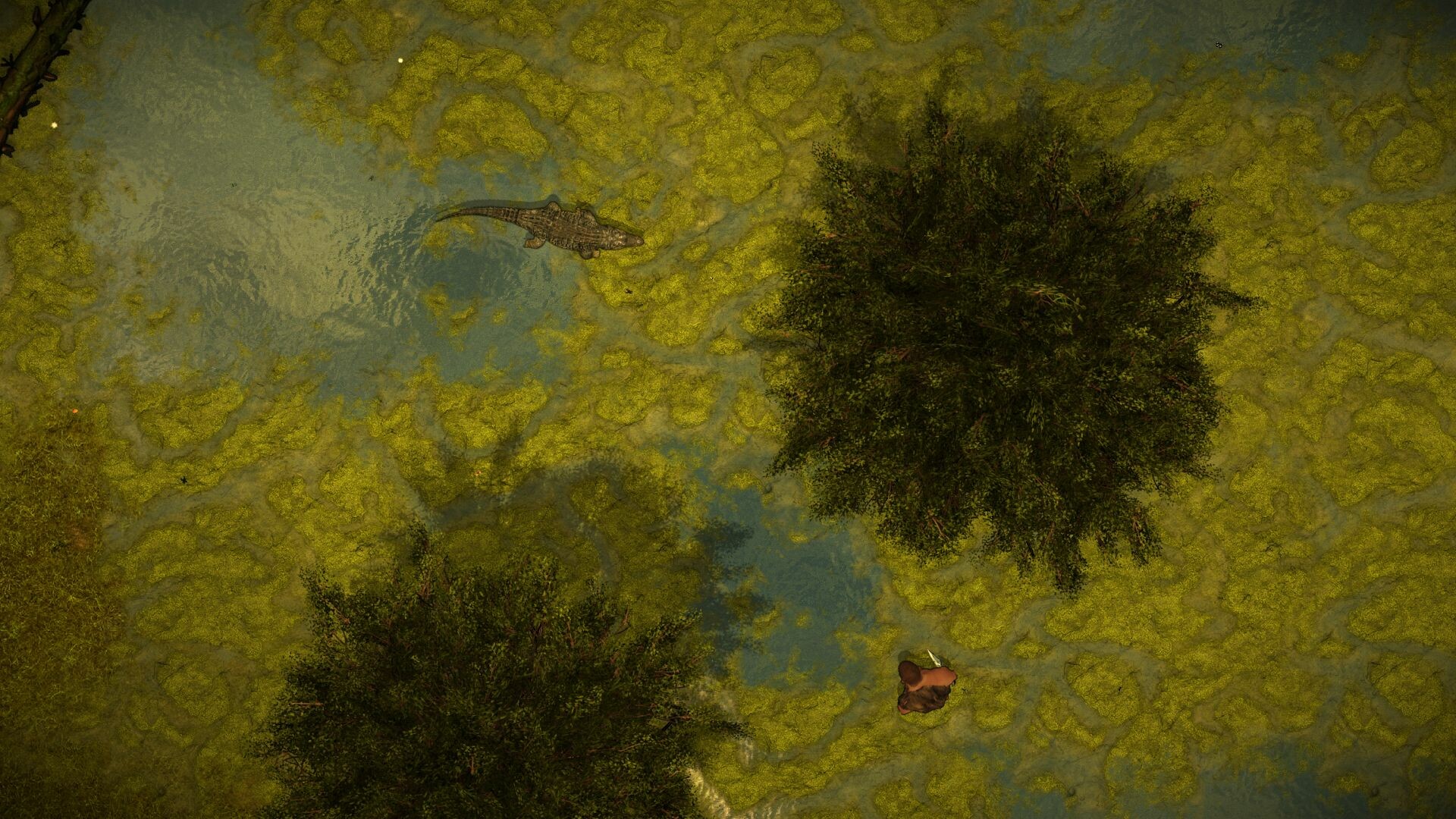 Primage Screenshot 5