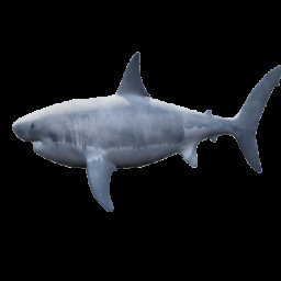 IS THAT A CAR OR A FISH??? icon