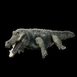 See You Later Alligator icon