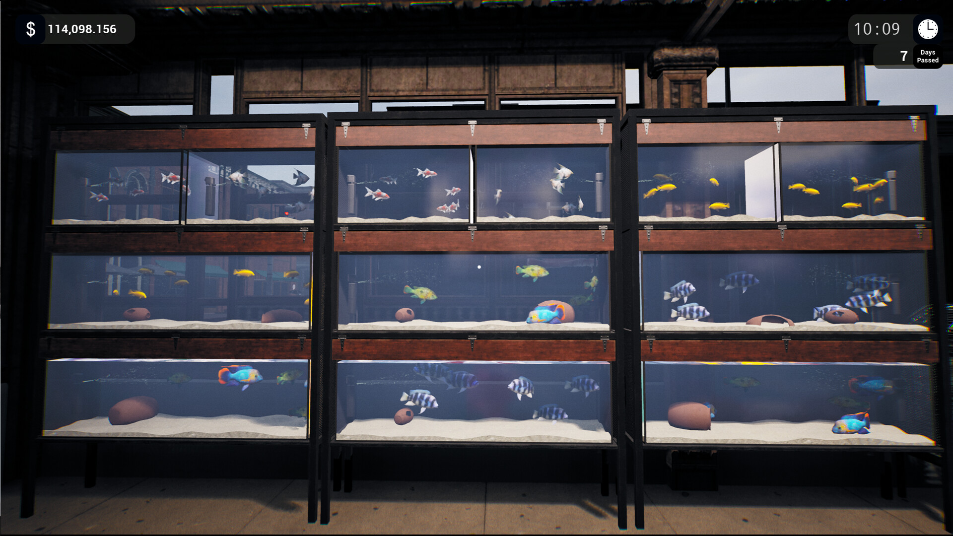 Exotica: Petshop Simulator Screenshot 10