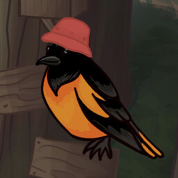 Bird’s New Home: Creativity