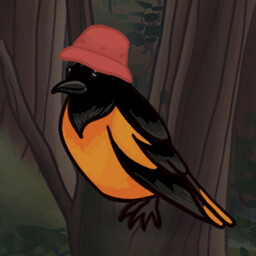 Bird’s New Home: Wisdom